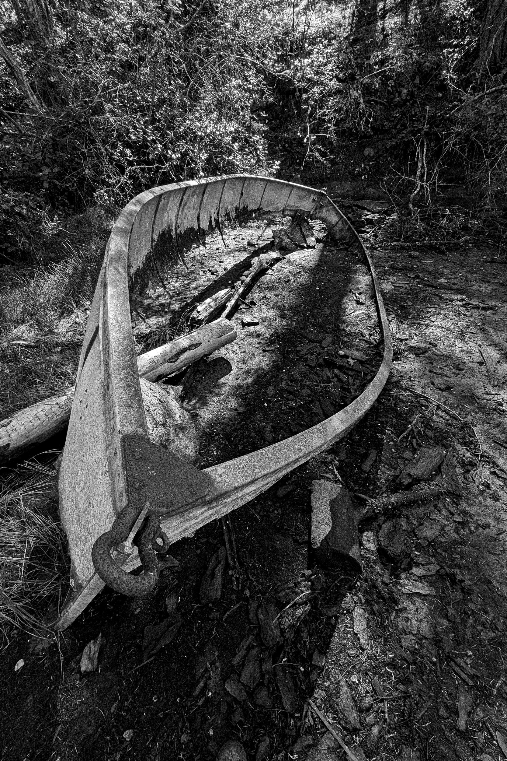A broken boat hull forms a looping curve on a wooded shore.