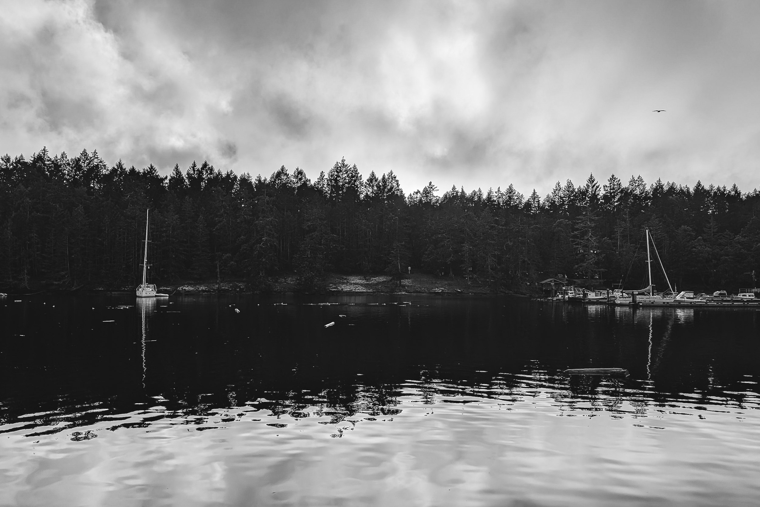 Sailboats sit quietly on dark water below a tree-lined shore.