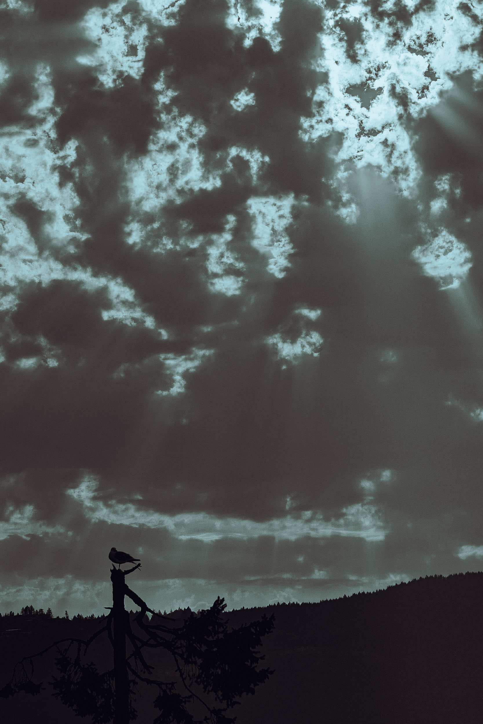 A small silhouetted figure stands below a dramatic, cloud-filled sky.