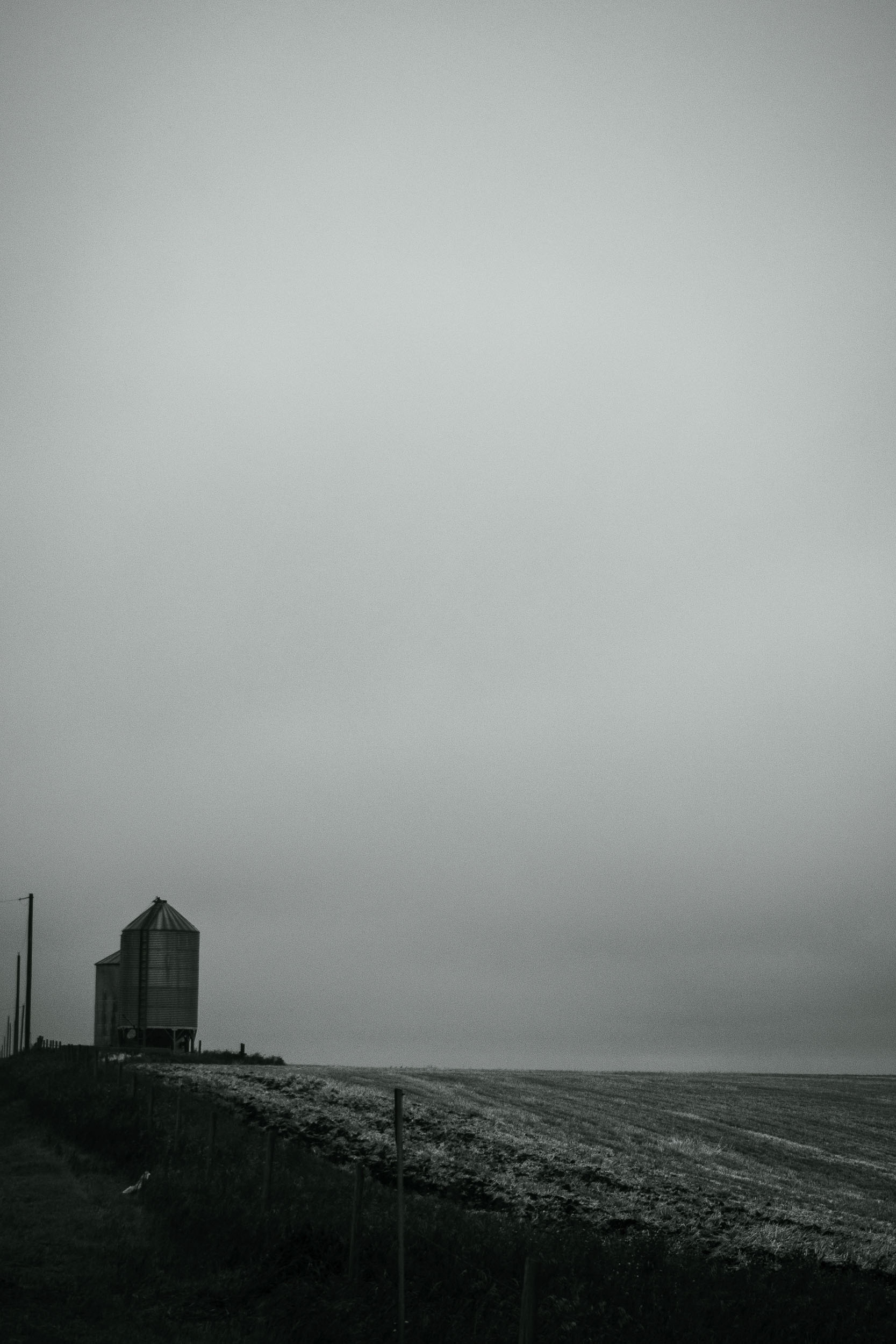 A grain silo and utility pole stand beside an empty country road.