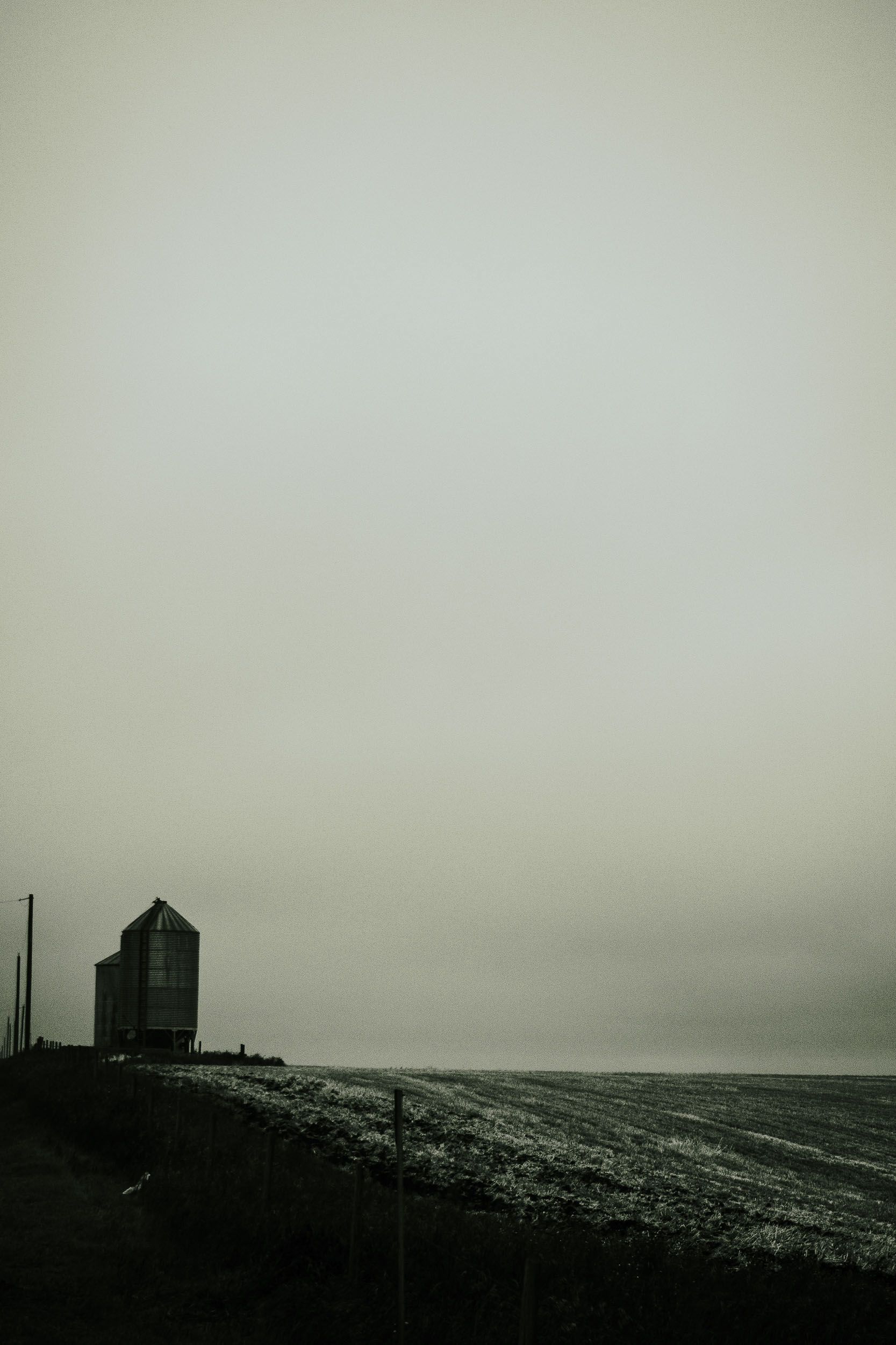 A grain silo and utility pole stand beside an empty country road.