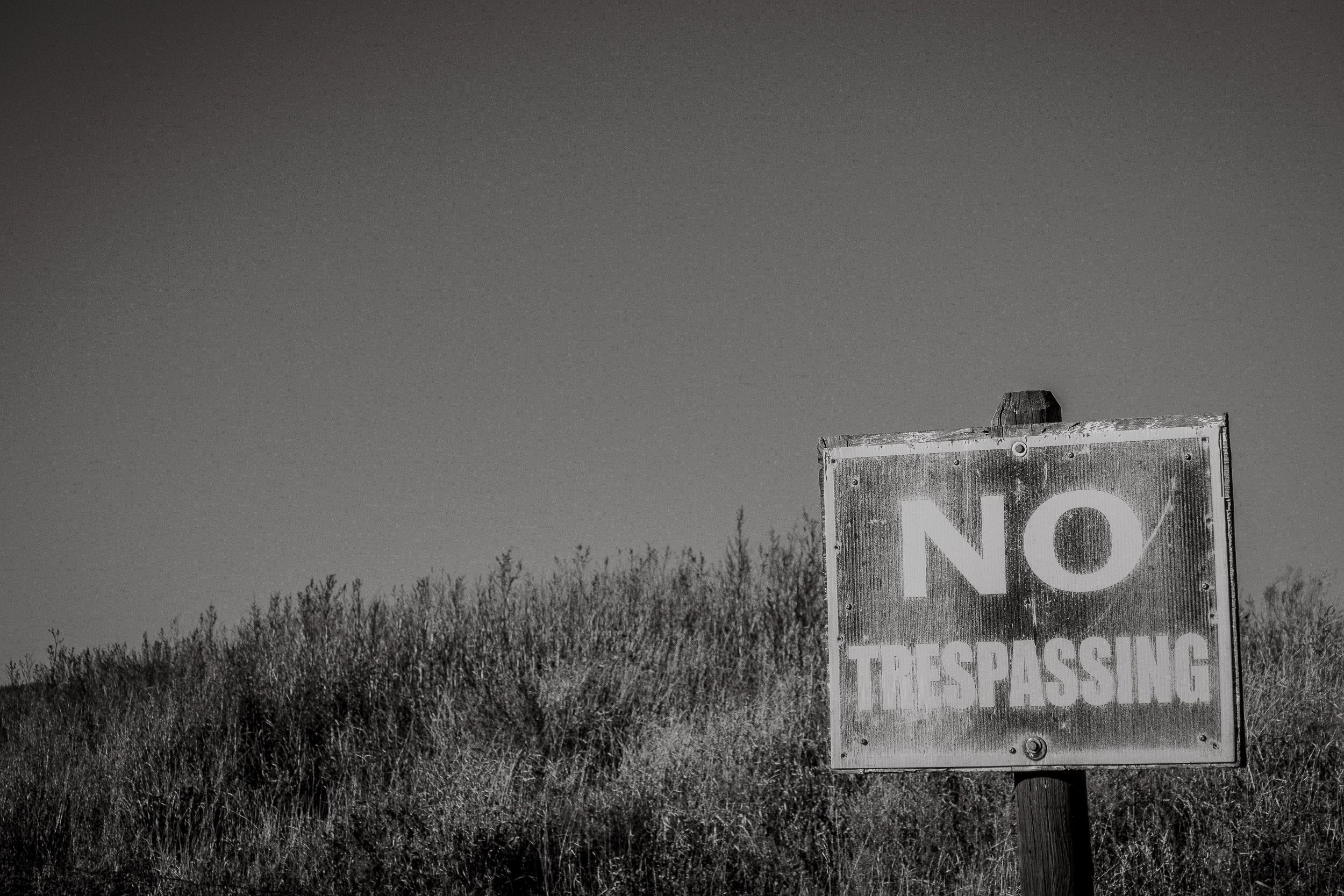 A no-trespassing sign stands above tall grasses beneath an open sky.