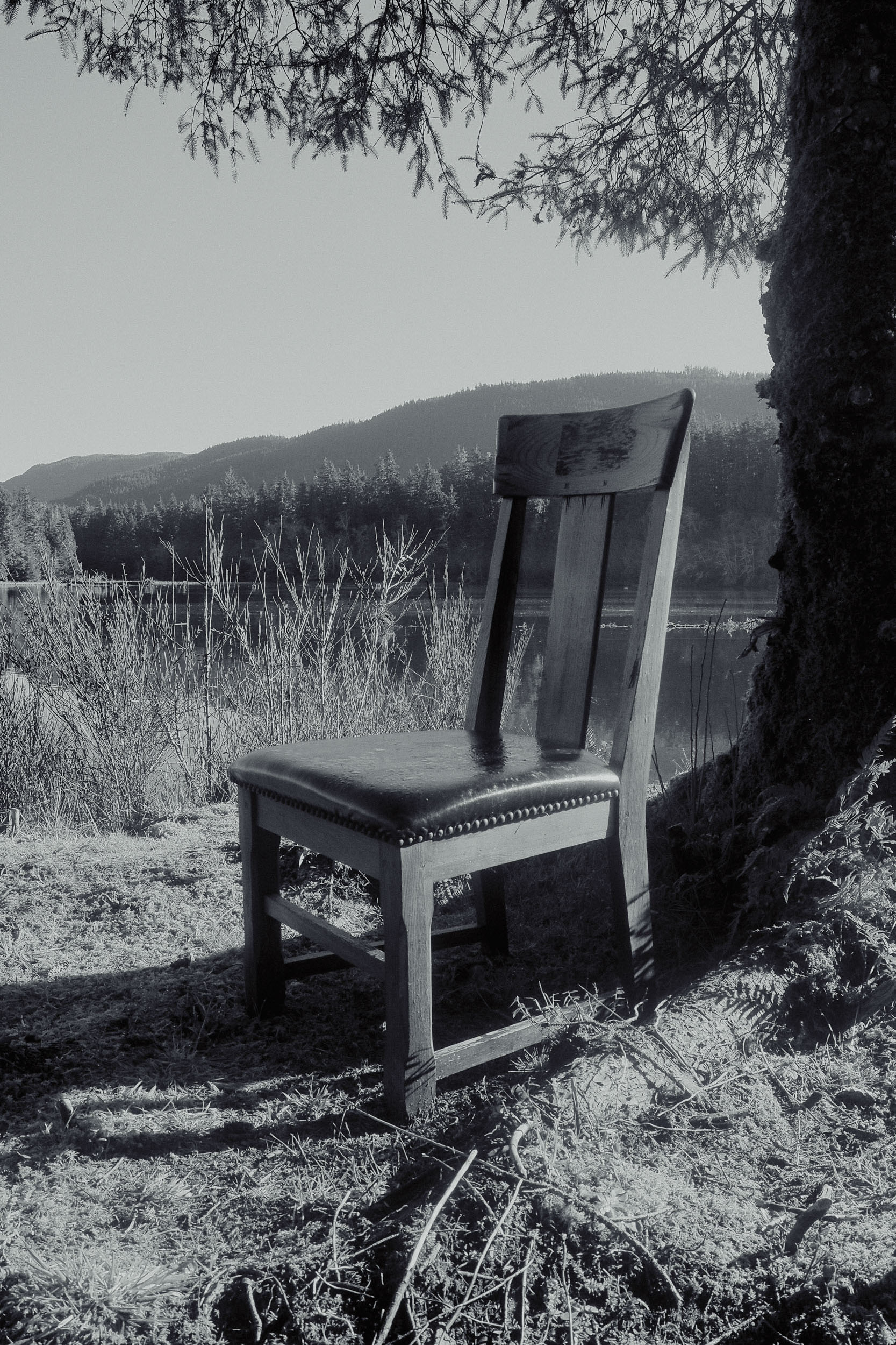 A single wooden chair sits in grass beside a large tree and distant hills.