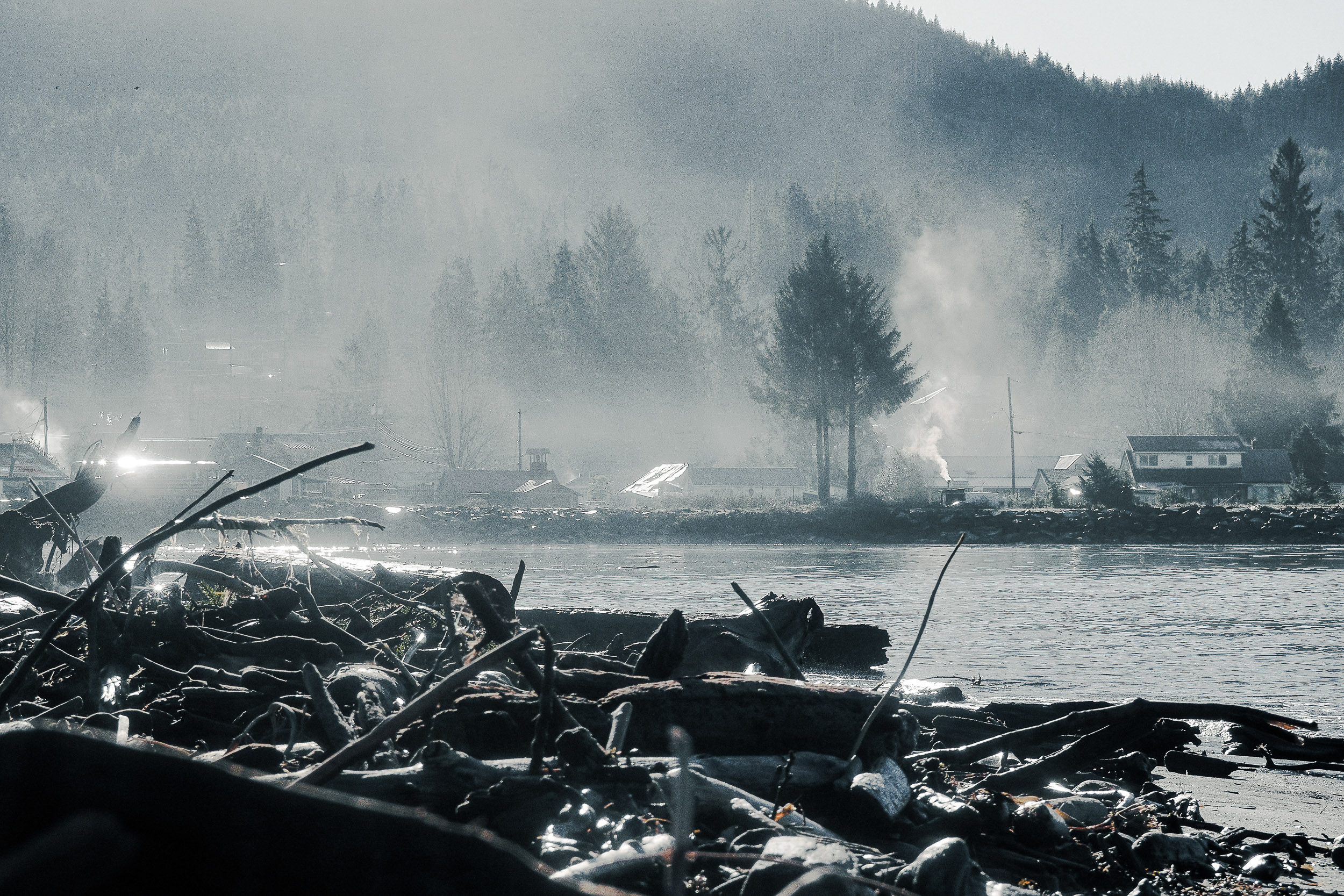 Smoke or mist rises beyond a jumble of logs at the water’s edge.