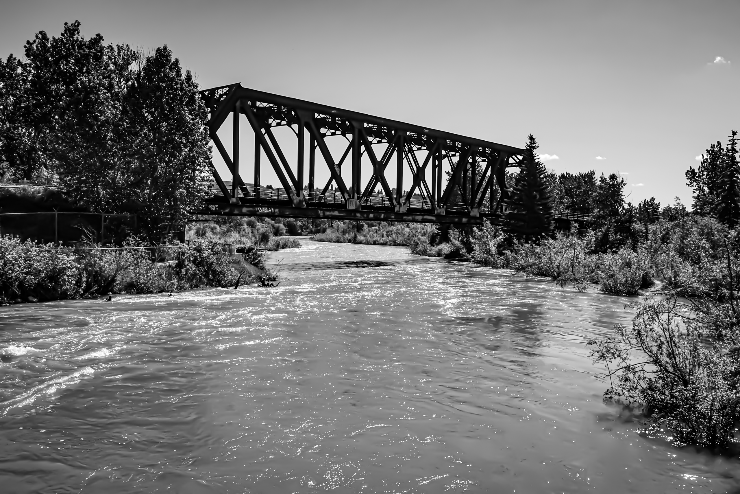 A steel rail bridge spans fast-moving water between trees.